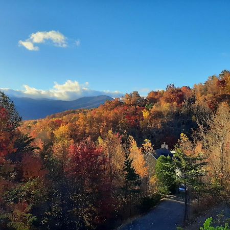 Tree Tops Retreat: Luxury Mountain Suites with Hot Tub and Bear Sightings Gatlinburg Exterior photo